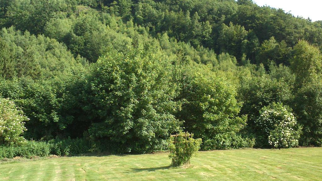 La Cle Des Champs Villa Bertogne Exterior photo